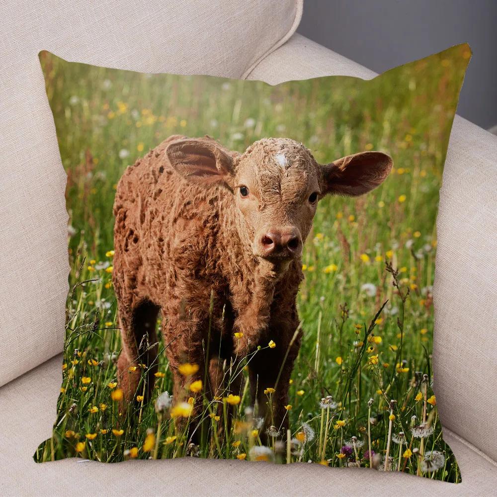 Scotland Kyloe Pillow Case Decor Wild Cow Colorful Animal Print Pillowcase Soft Short Plush Cushion Cover for Home Sofa 45x45cm
