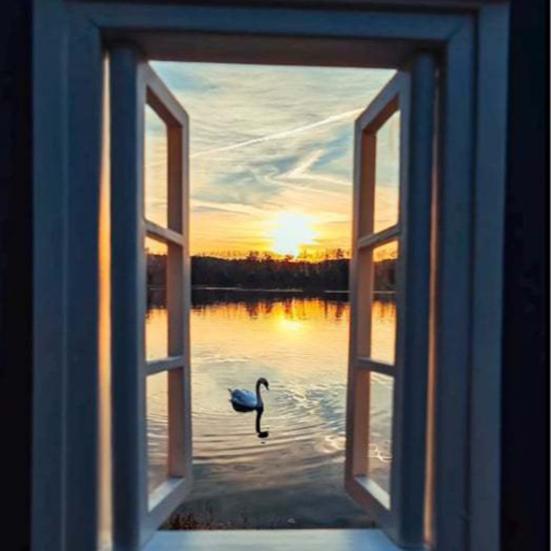 1/3 Peças Moldura de Janela Adereços de Fotografia Portátil Artístico Destaque Paisagens Temas Viagem ao Ar Livre Moldura de Visão de Janela Fotos