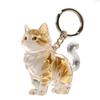 Nuova Borsa Contenitore Trasparente per Peli di Gatto, Ciondolo Forma Capsula, Ricordo Memoriale per Peli di Animali, Contenitore per Peli di Cane Maine per Amanti degli Animali