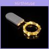Wire Copper Led String Lights With Button Battery For Outdoor Decor Garden