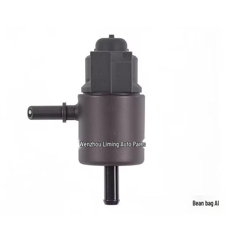 Modern Car Carbon Canister Solenoid Valve 28910-2J301