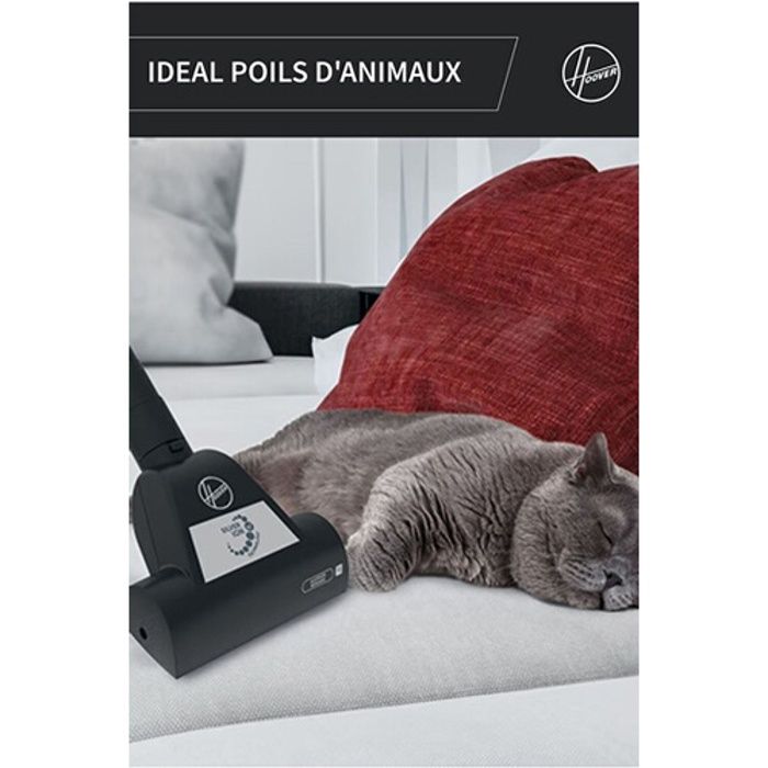 Aspirateur sans sac - hoover - hp322pet - spécial animaux - 2l - 10m de rayon d'action