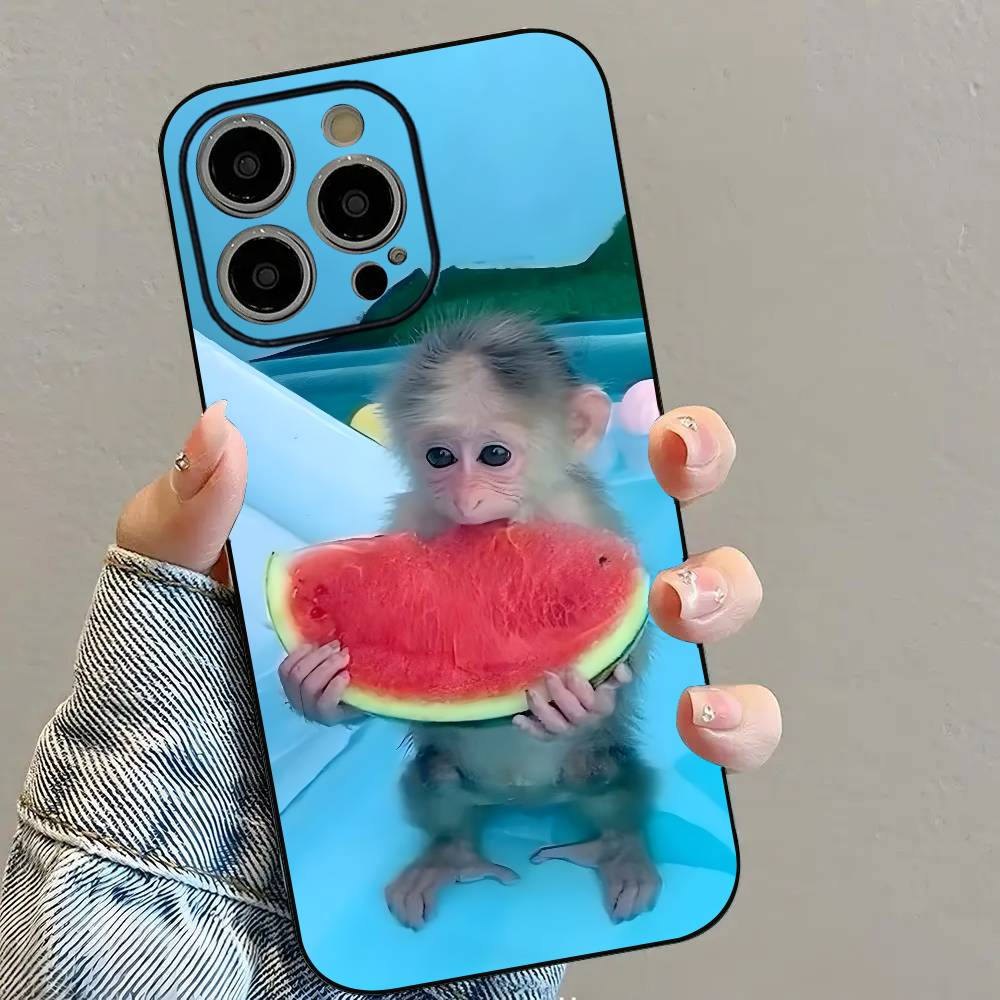 

Monkey abstract Funny Phone Case For iPhone 16 15 14 13 12 11 PRO MAX PLUS Mini TPU Soft to Skin-friendly case iPhone15