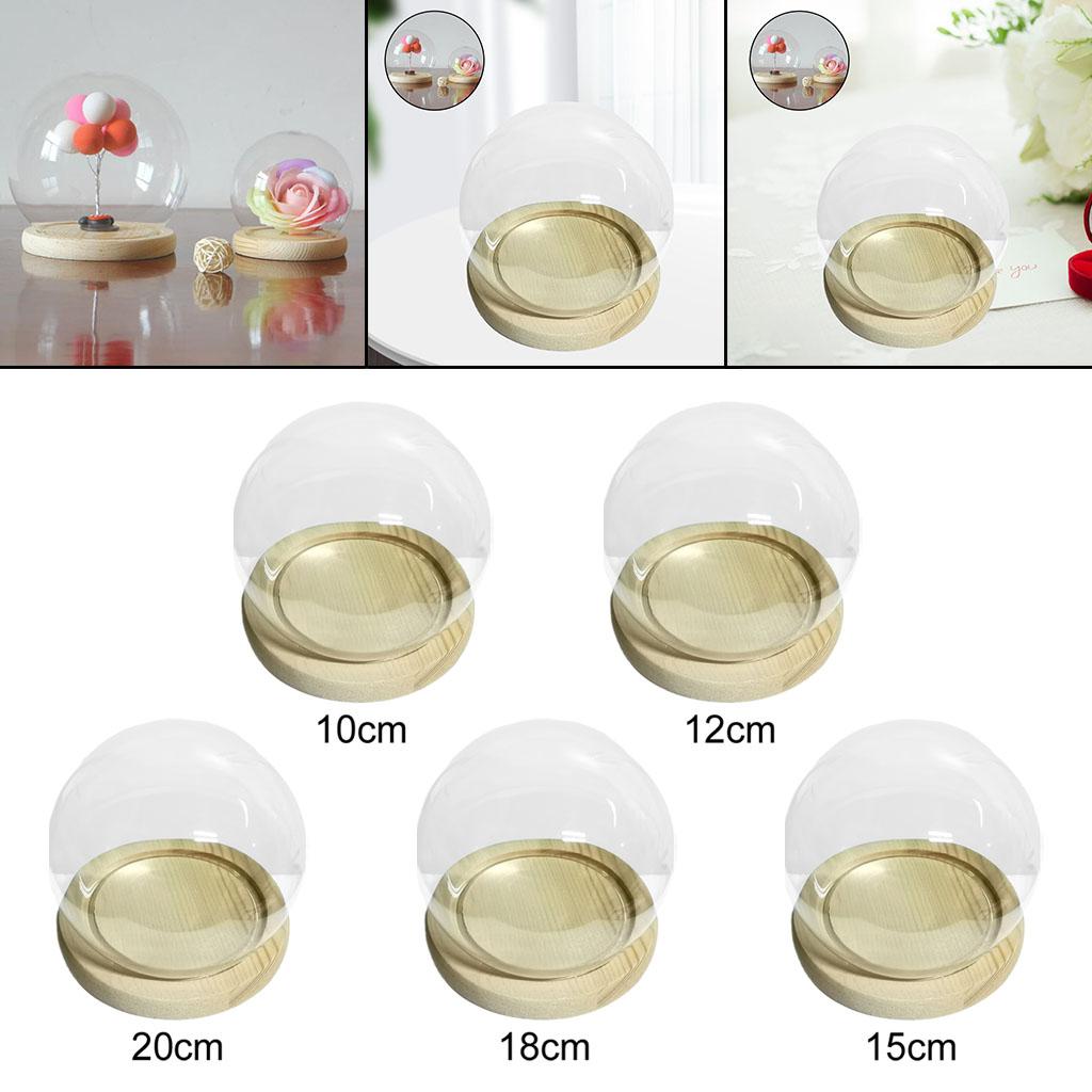 Gläserne Display-Cloche Terrarium Kugelförmige Abdeckung mit Holzsockel