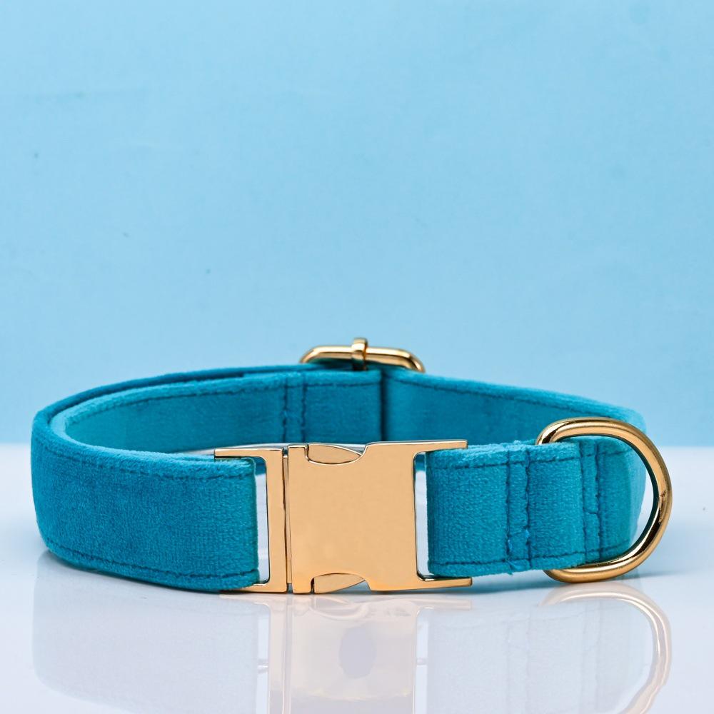 Ensemble collier et laisse pour chien en velours gravé avec boucle métallique réglable