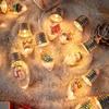 Christmas Decoration String Lights,Snow Globe Lights Battery Powered