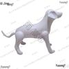 Inflatable PVC Dog Model for Pet Clothes Photography Display