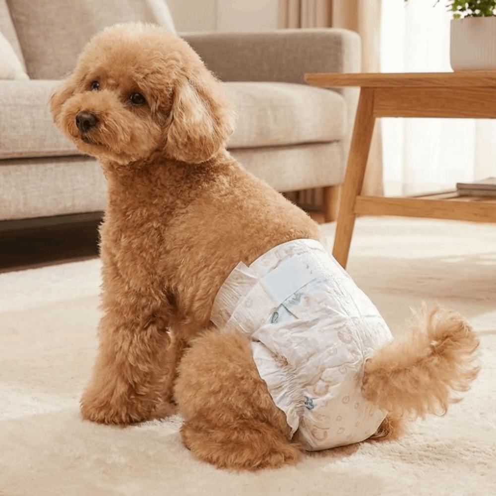 10PCS Super Absorption Dog Physiological Pants Breathable Disposable Diapers  Dog Travel