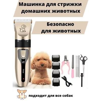 Psi – Péče o srst psa