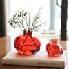 Glass Flower Vase Pomegranate Shaped Red Glass Vase Hydroponics Planter for Tabletop Home Decor Plant Containers