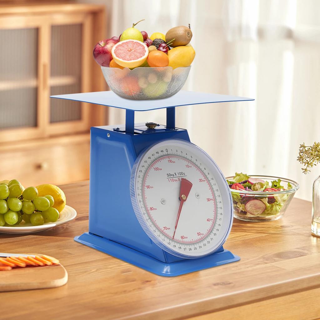 Mechanische Küchenwaage (0,1 kg/0,22 lb) – Präzise Portionswaage mit Plattform, industrielle Messskala zum Kochen