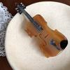 Niche Violin Hair Clip: High-End Acetate Shark Claw Design 2025