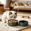 Large Capacity Ceramic Cat Bowl Anti-Spill Elevated Neck Protection Food Water Feeder