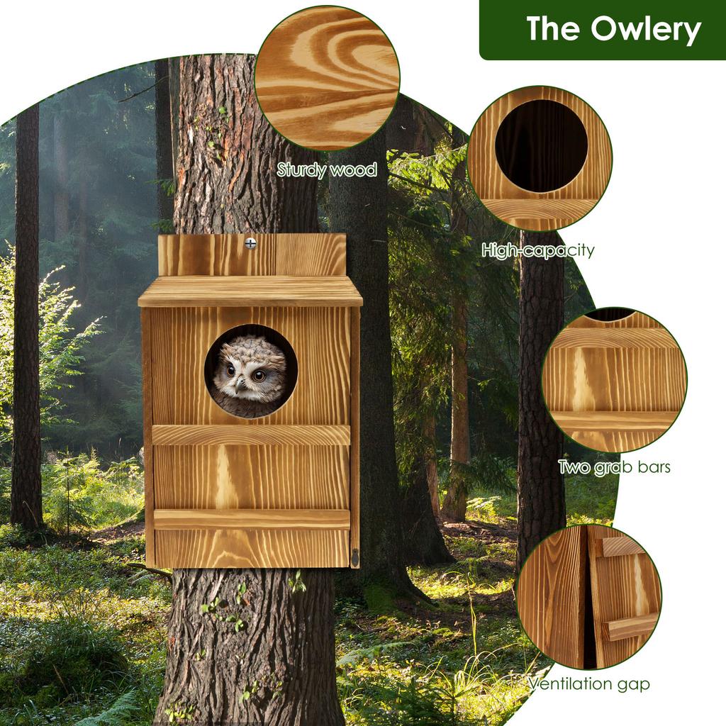 Casa per gufi in legno Apertura circolare Casa per uccelli Dimensioni grandi Nido Uccelli Scatola per la nidificazione Decorazione per balcone Accessori per animali domestici da appendere