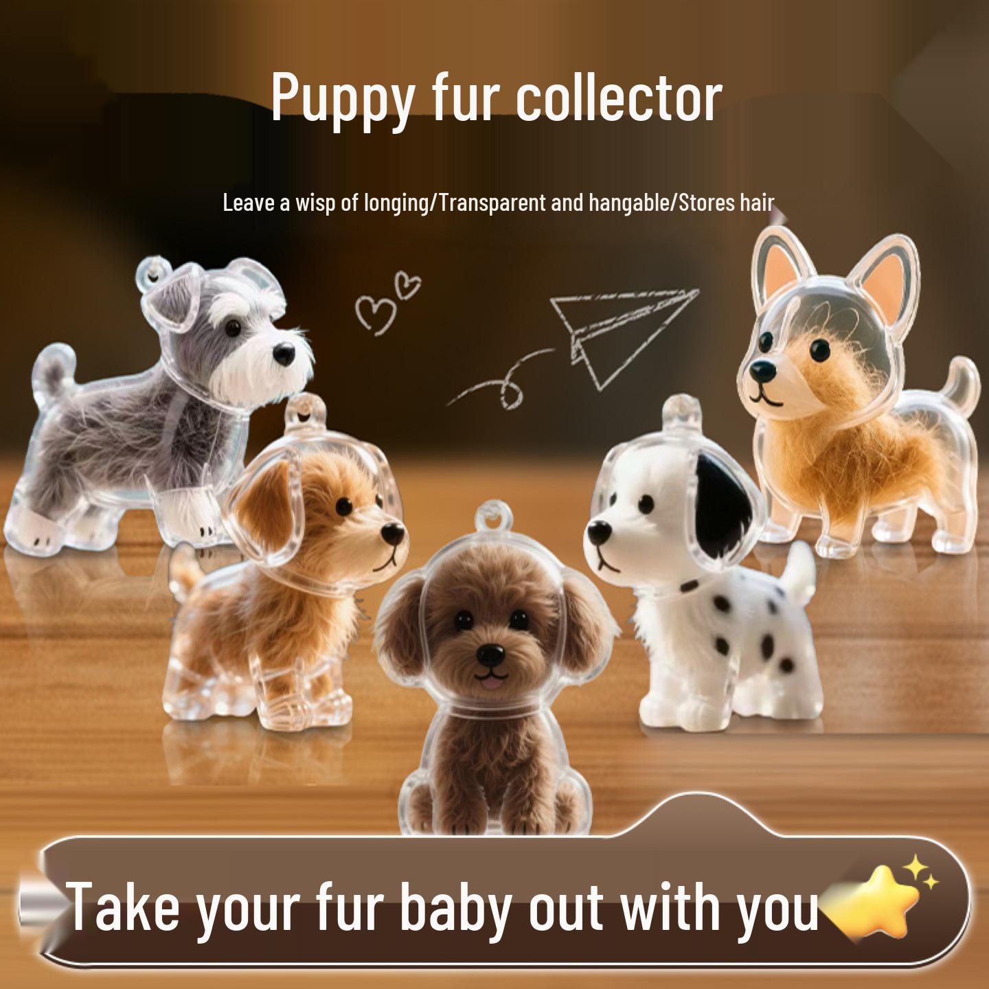 

Beginner s Clear Dog Hair Pendant Keychain – Transparent Storage Box & Commemorative Charm