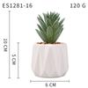 Small, Wavy Cup-Shaped Simulated Succulent Plant Potted Plant, Nordic Office Furniture Fresh Decoration