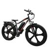 BAOLUJIE DP-2620 Integrated Wheel Adult E-Mountain Bike  500W Motor 48V13AH Battery 26 Inch Fat Tires Off-Road Electric All-Terrain Electric Bicycle