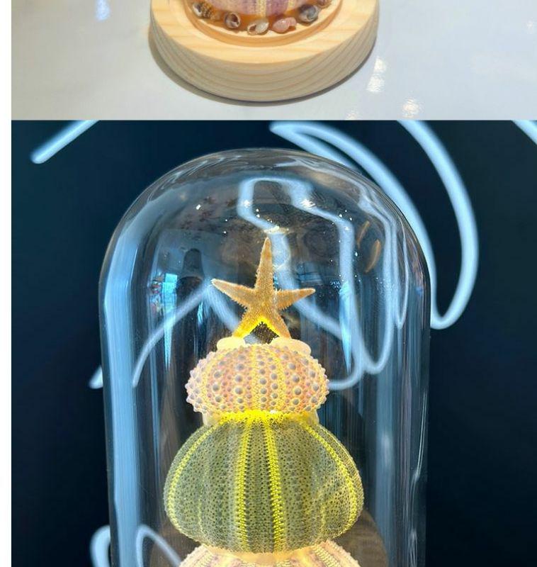 DIY Luminous Sea Urchin Night Light Kit - Birthday Gift for Girlfriend