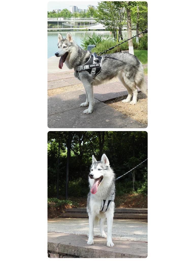 K9 Saddle Style Dog Harness & Leash - Explosion-Proof, Medium/Large Breeds, Border Collie, Golden Retriever