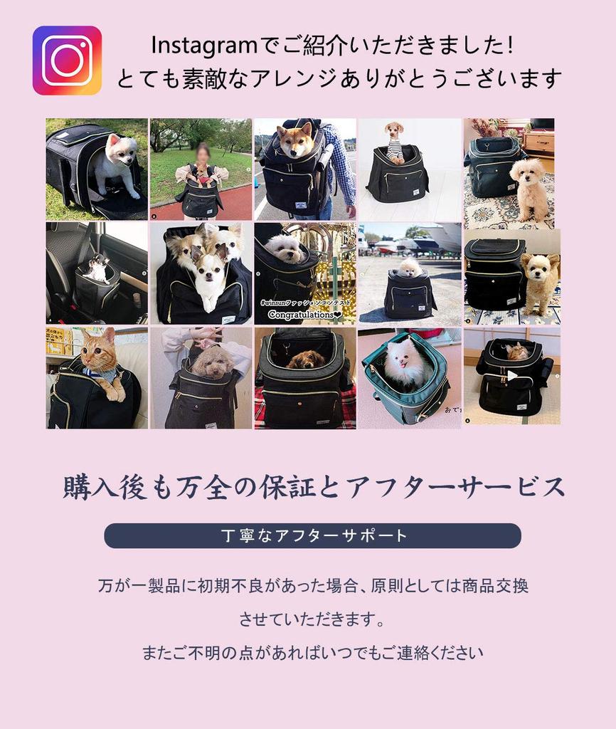 WinSun Pet Carrier Dog Carrier Cat Carrier For Small Scratch and Bite For Hospital Train Evacuation Lead Black Bag, Bag, Backpack, Bag, Bag, Backpack,