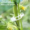 100-800PCS Plastic Plant Clips Support Connects Reusable Protection Grafting Fixing Tool Gardening Supplies for Vegetable Tomato