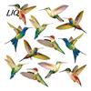 Reusable Window Decal Bird Stickers, Anti-Collision Strike Prevention Decal, Static Cling Glass Transparent Sticker Film for Windows Doors,