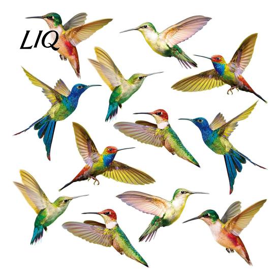 Reusable Window Decal Bird Stickers, Anti-Collision Strike Prevention Decal, Static Cling Glass Transparent Sticker Film for Windows Doors,