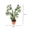 1/12 Dollhouse Simulation Monstera Green Plant Potted Dollhouse Home Decoration Micro Landscape Garden Bonsai Model