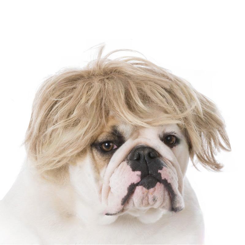 Lustige Hunde-Katzen-Cosplay-Perücke für kleine Hunde, Kopfbedeckung, Cosplay-Kostüm-Accessoires, Haustierperücken für Halloween, Heiligabend, Festival-Party-Dekoration