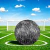 1pc Ferns Mist Size 5 Soccer Ball Professional Match Training Football Indoor &Outdoor Sports Ball Lightweight Durable c65158