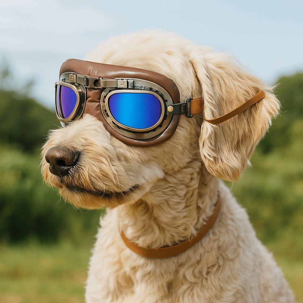 Scratch Resistant Cat Dog Goggles Comfortable Fit Protective Dog Sunglasses  for Dogs Cats