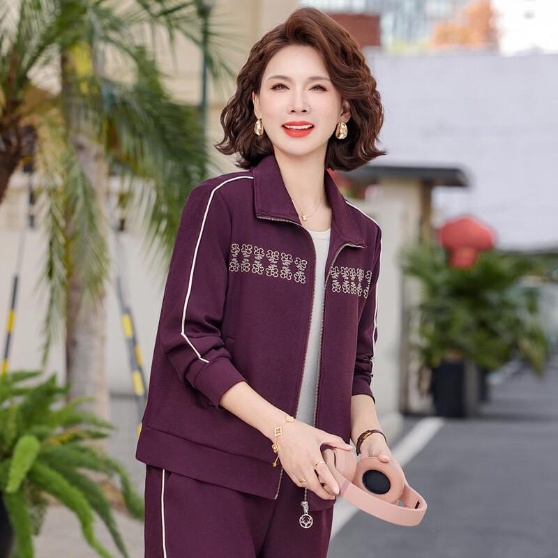 Women's Plus Size Spring Casual Two-Piece Set