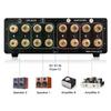 Douk Audio VU3 Dual Analog VU Meter, 2-Way Amp/Speaker Switch, DB Panel Display Audio Switcher Box