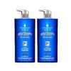 Schwarzkopf Men's Volcanic Rock Purifying Shampoo