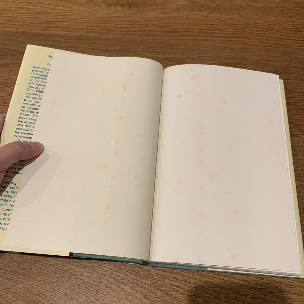 [USED] Joyce's Uncertainty Principle