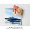Midori Magnet 1 Piece Sushi Design