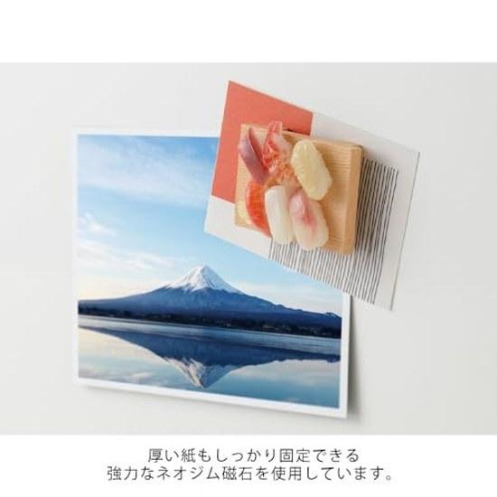 Midori Magnet 1 Piece Sushi Design
