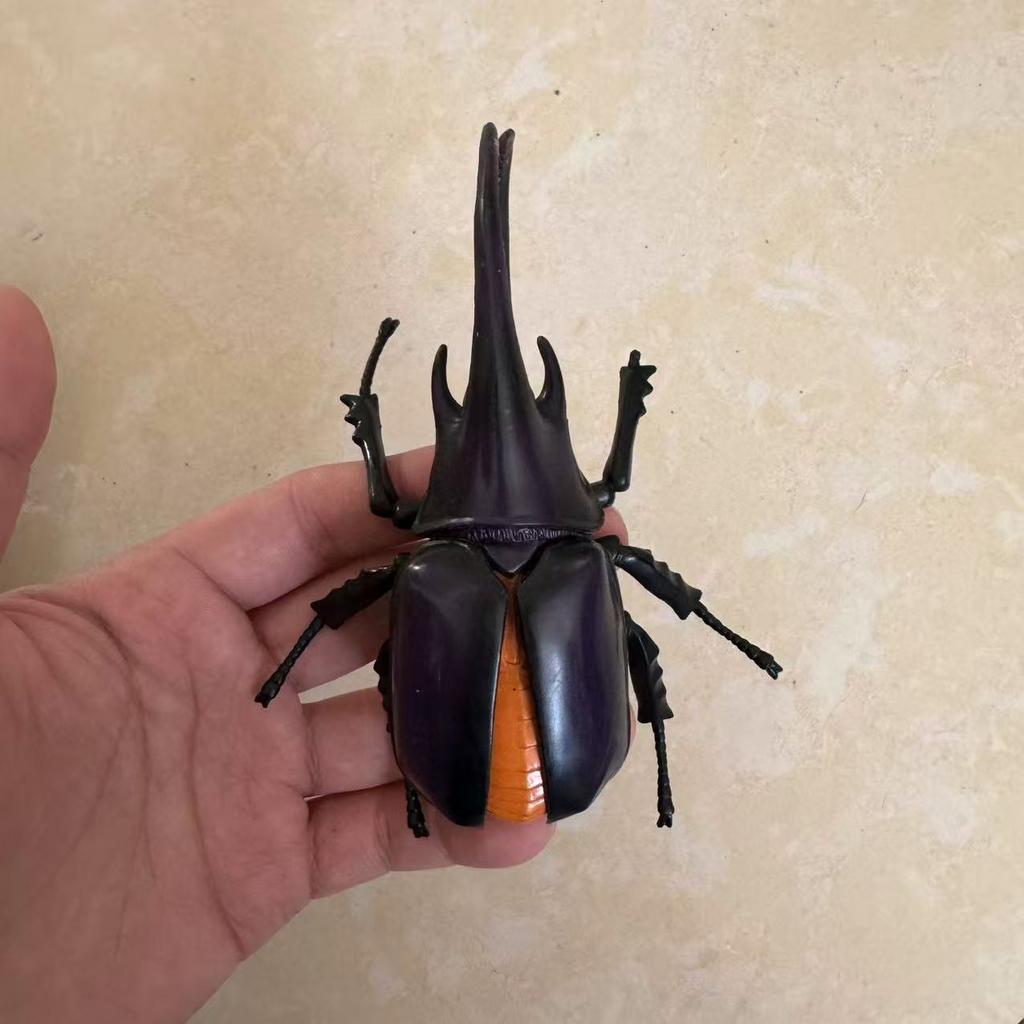 Biographical Analysis of Deer Antler Beetle and Claw Shaped Insect Beetle Gacha Simulation Animal Movable Joints Figure Toys