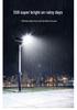 High-Power Ultra Bright Outdoor Solar Street Light with Rain and Lightning Protection