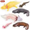 Oenux Amphibians Aquatic Animal Newt Salamander Cryptobranchoidea  Animals Model Action Figure Education Cute Kids Toy Gift