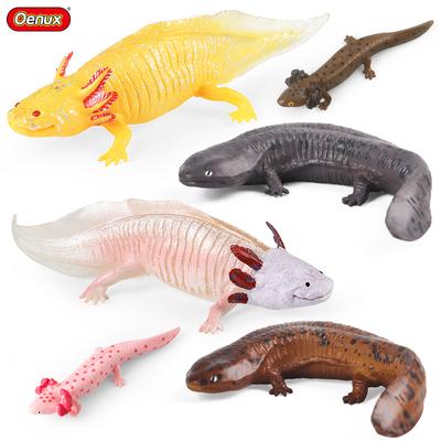 Oenux Amphibians Aquatic Animal Newt Salamander Cryptobranchoidea  Animals Model Action Figure Education Cute Kids Toy Gift