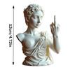 Vienna Goddess Middle Finger Funny Resin Statue Home Interior Garden Office Table Personalized Decorations Crafts Special Gifts