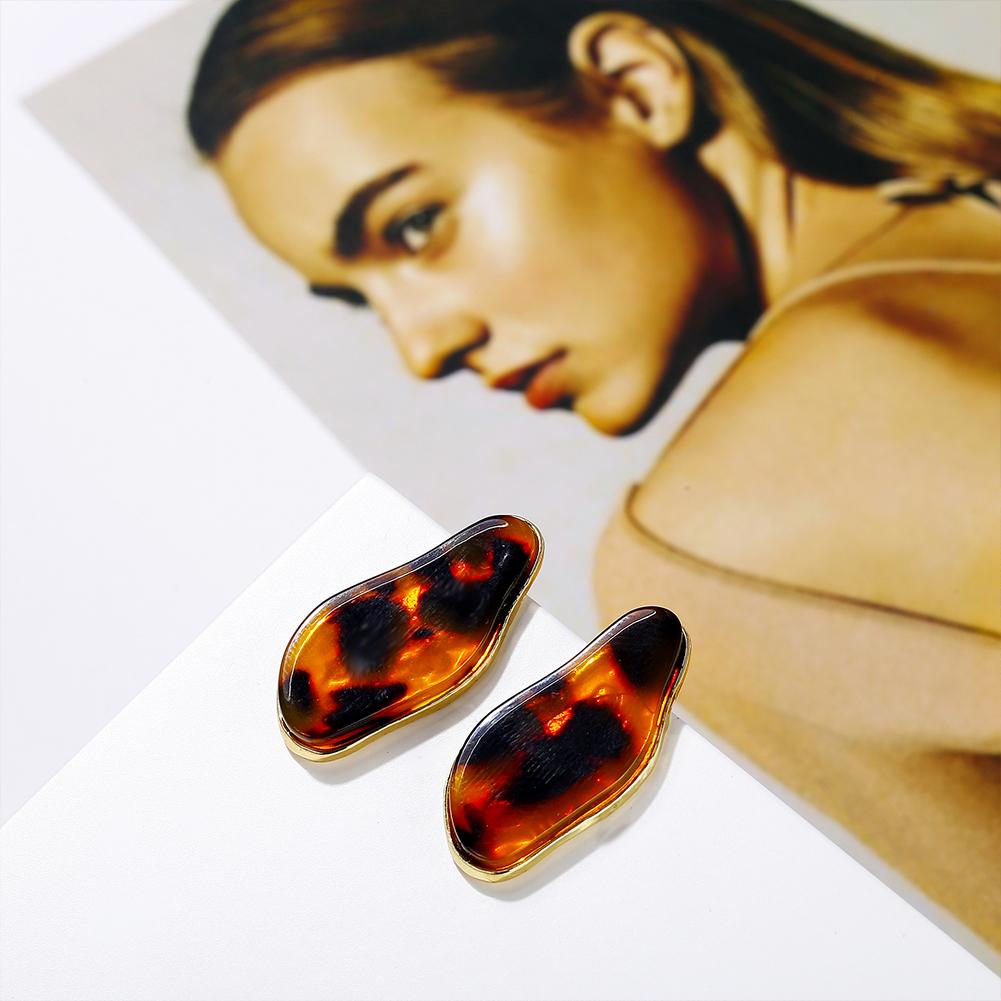 Damen Retro Punk Unregelmäßiger Stil Acryl Leopardenmuster Ohrringe