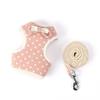 Popular Pet Dog Leash and Harness Set