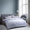 Mercury Home Textiles DH Negativ-Ionen Vier Jahreszeiten Steppdecke