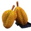 Durian-Modell, künstliche Durian-Dekoration, gefälschte Durian-Figur, künstliche Frucht-Requisite für Obstläden, Supermärkte