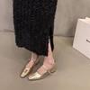 Fashion temperament with skirt single shoes women's shoes 2025 new spring and autumn heightened thick heel Mary Jane shoes small leather shoes