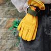 2pcs Versatiles Outdoor Gears Gloves Organizers Straps Work Gloves Safety Clip for Camping Hiking and Cycling
