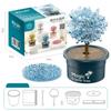 Grow a Crystal Science Experiments Toy Colored Crystals Crystal Making Kit  Science Gifts
