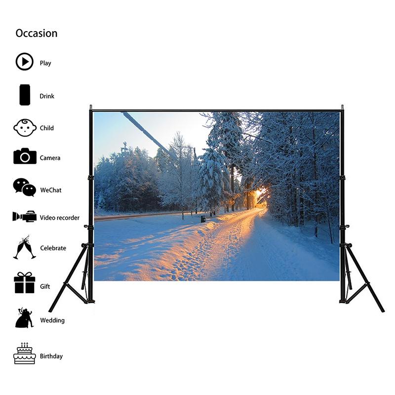 Winter Theme Snow Scene Background Nature Landscape Sky Snowflake Christmas Portrait Prop Party Decoration Banner